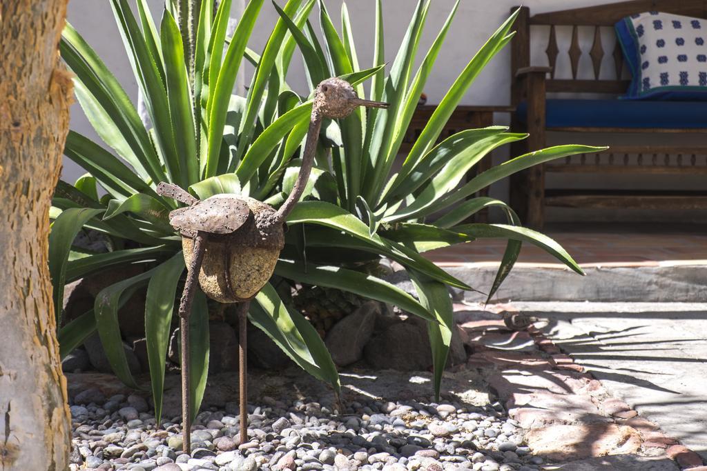 El Angel Azul Hacienda Hotel La Paz Ngoại thất bức ảnh